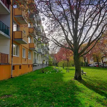 Muszelka Apartment *