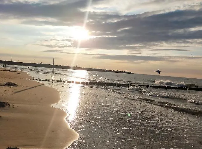 Apartment Muszelka Kolberg