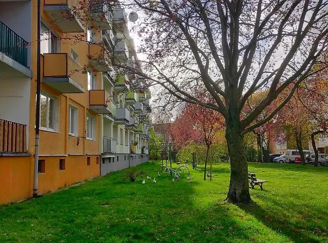 Muszelka Apartament *